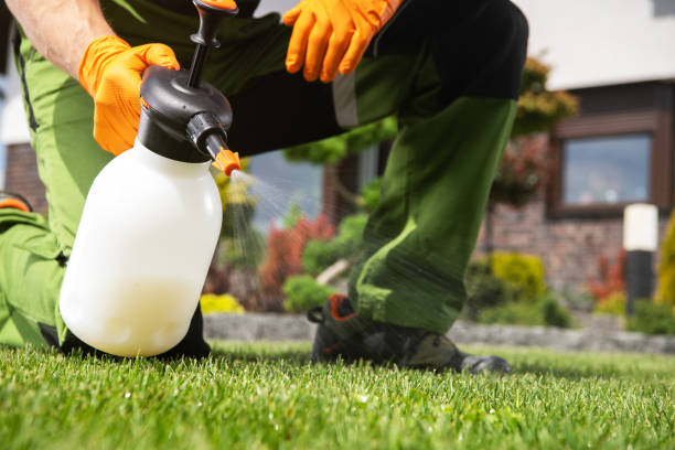 Best Residential Pest Control  in Mountville, PA