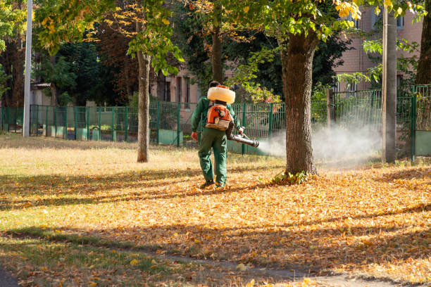 Wasp Removal Services in Mountville, PA